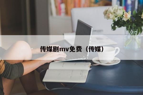传媒剧mv免费（传媒）