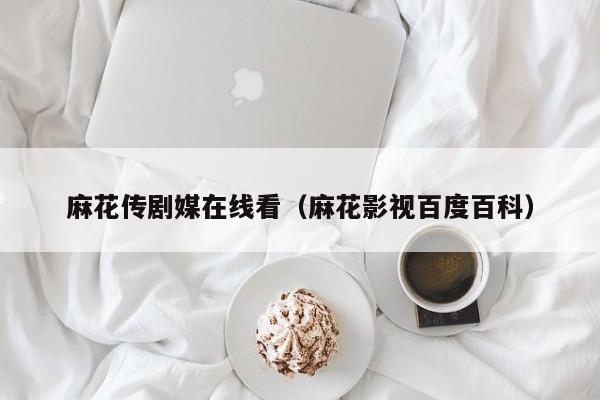 麻花传剧媒在线看（麻花影视百度百科）